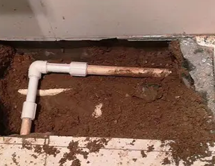 上蔡测漏水哪家好