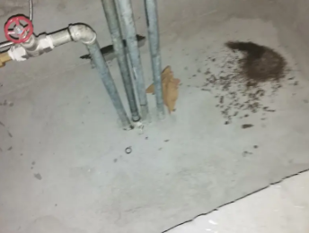 上蔡卫生间测漏水价格明细