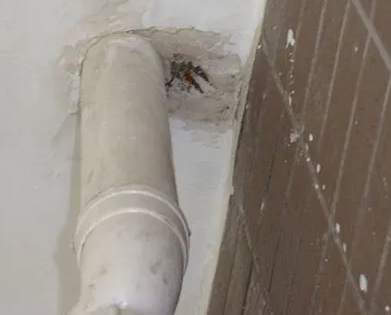 上蔡漏水检测哪家好